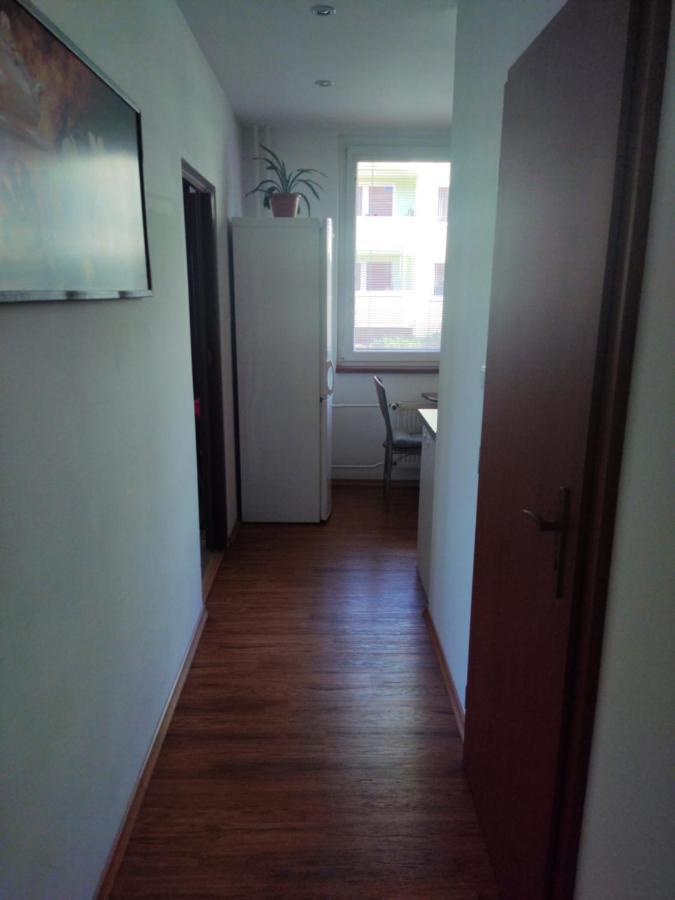 Ubytovani Velke Losiny - U Papirny Extérieur photo